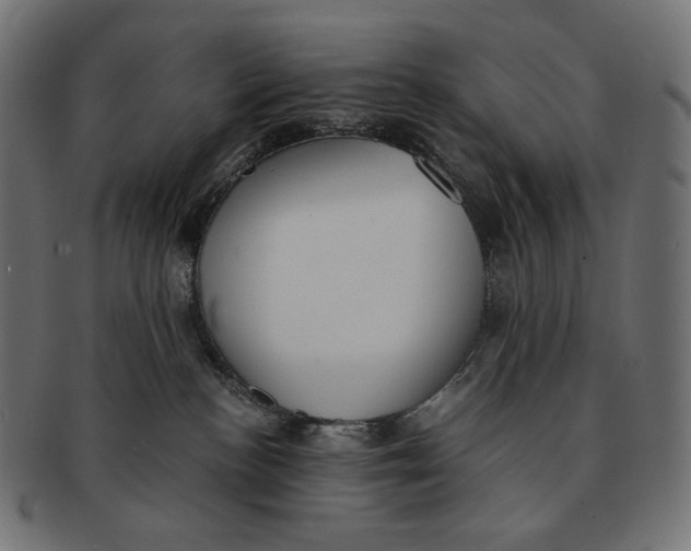 X0000091520188200709071026