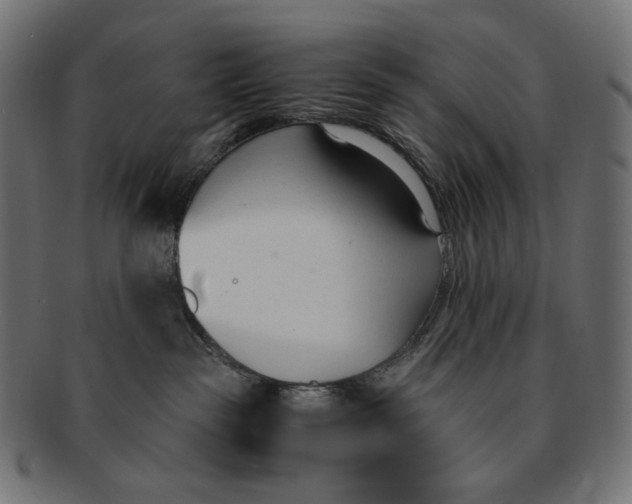 X0000091520189200709071026