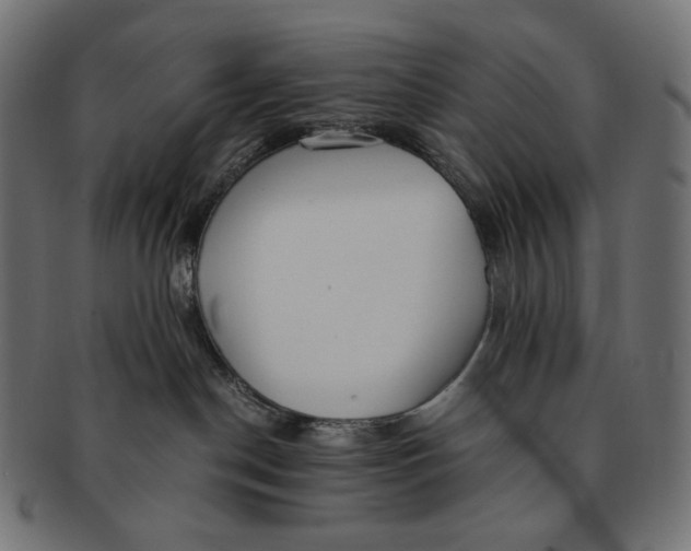 X0000091520190200709071026