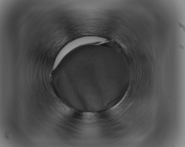 X0000091520192200709071026