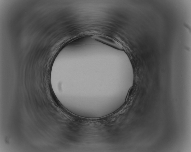 X0000091520193200709071025