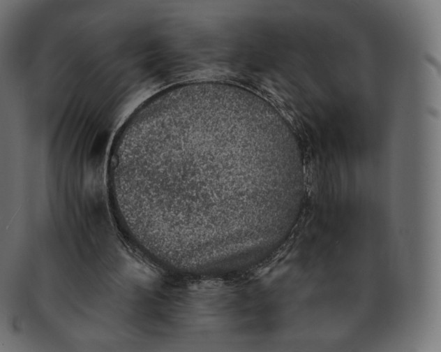 X0000091520196200709071025