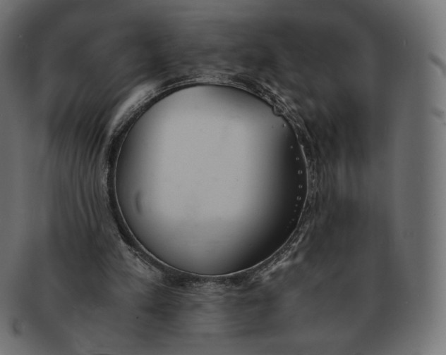 X0000091520197200709071025