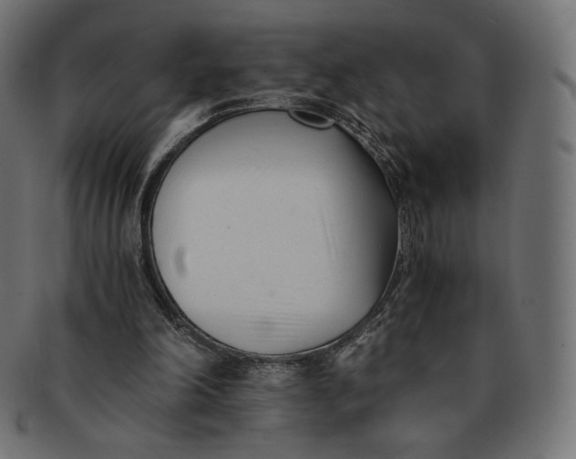 X0000091520198200709071025