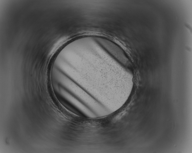 X0000091520199200709071025