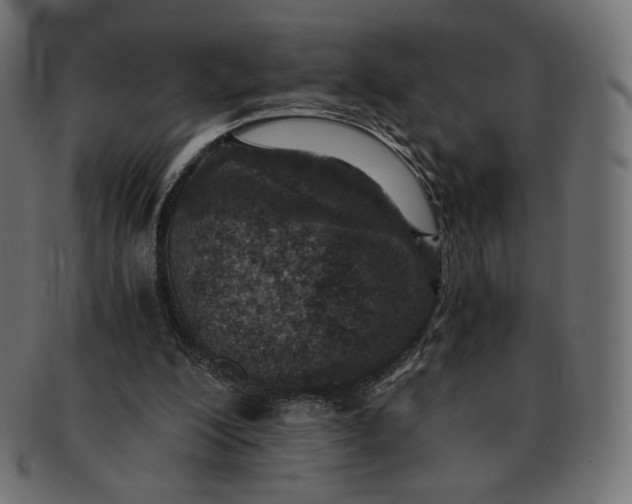 X0000091520200200709071025