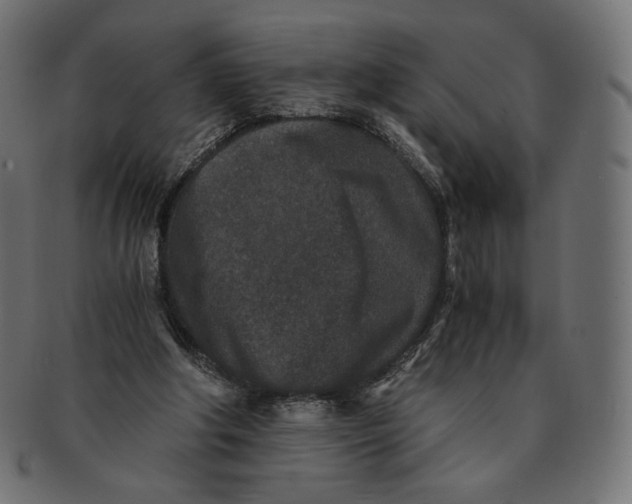 X0000091520202200709071025