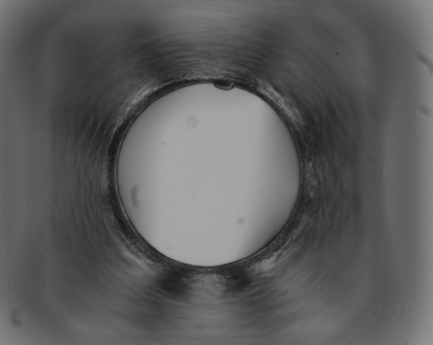 X0000091520203200709071025