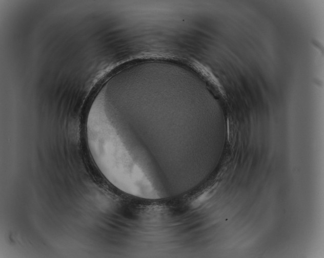 X0000091520204200709071025