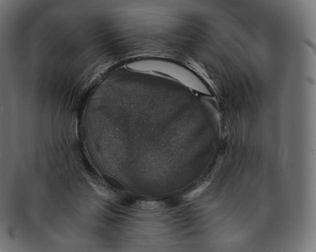 X0000091520205200709071025