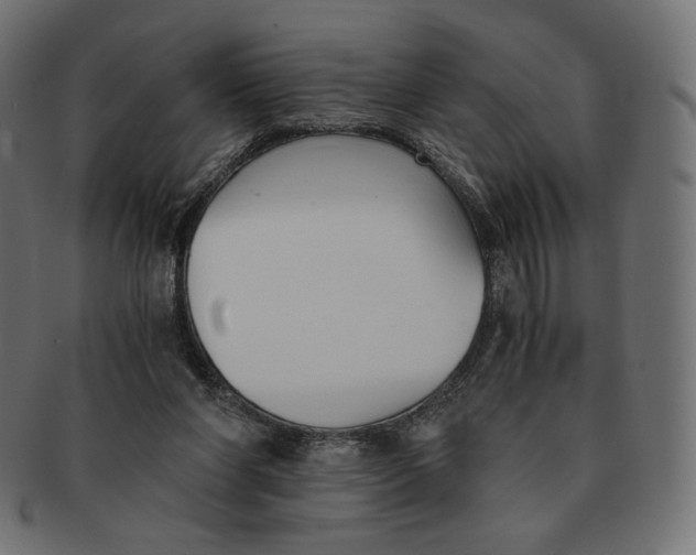 X0000091520206200709071025