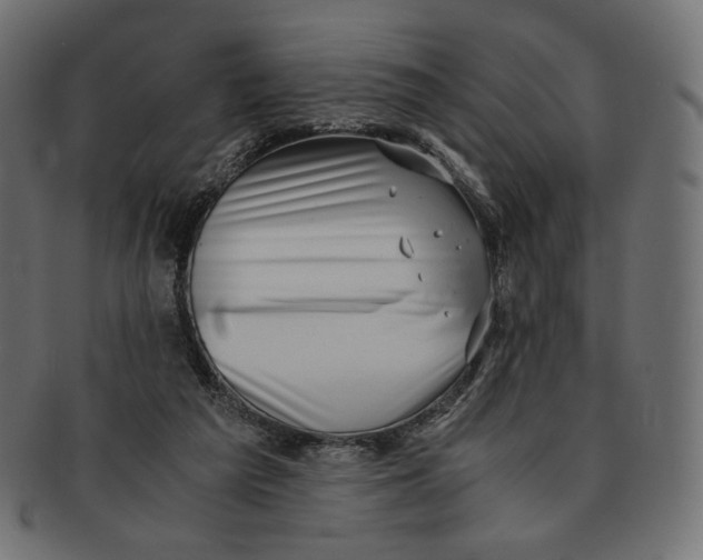 X0000091520209200709071025