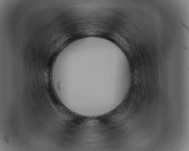 X0000091520210200709071025