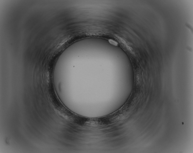 X0000091520211200709071025