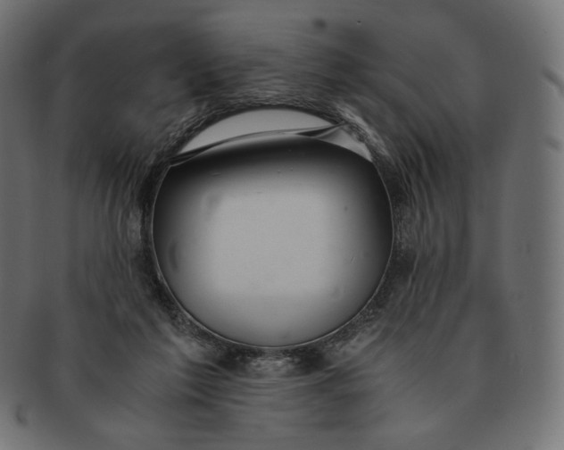 X0000091520213200709071025