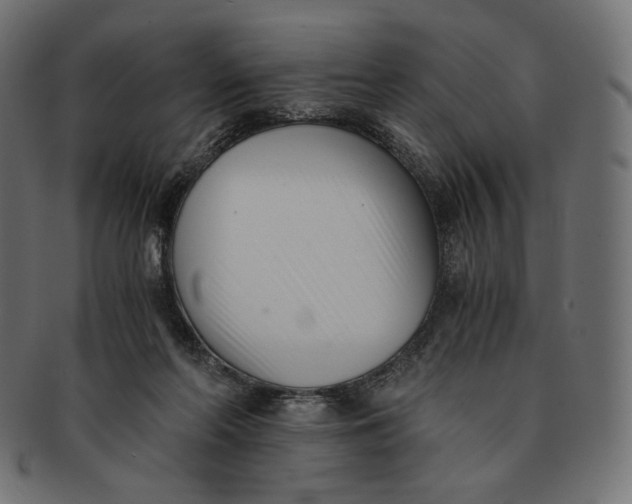 X0000091520214200709071025