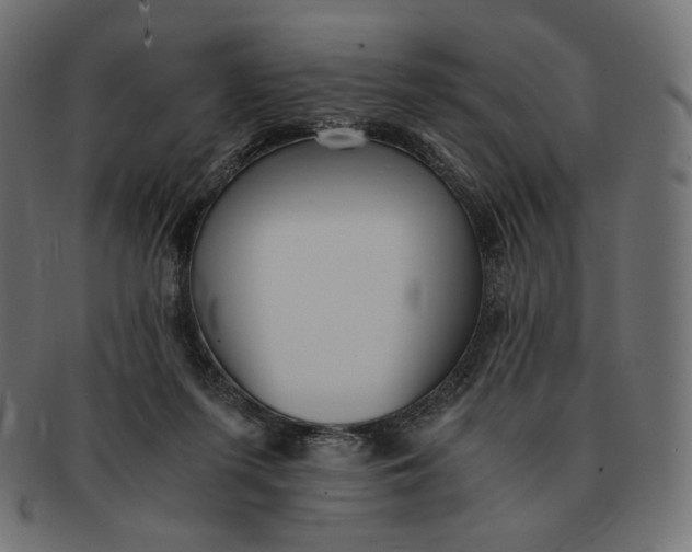 X0000091520215200709071025