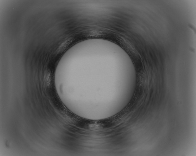 X0000091520216200709071025