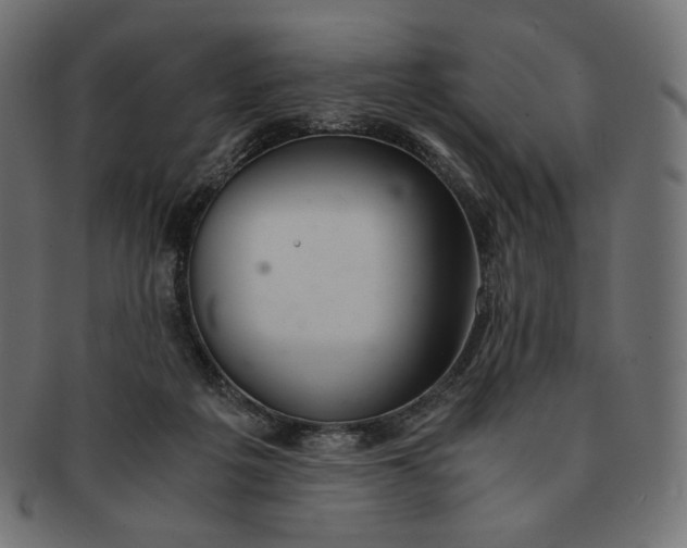 X0000091520217200709071025