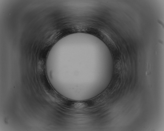 X0000091520218200709071025