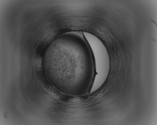 X0000091520219200709071025