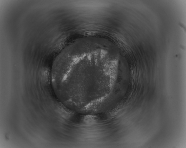 X0000091520222200709071024