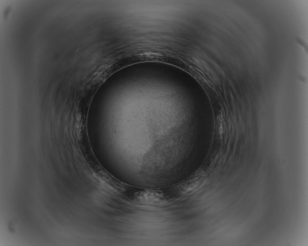 X0000091520223200709071024