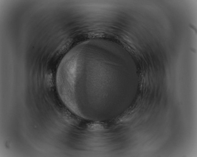 X0000091520224200709071024