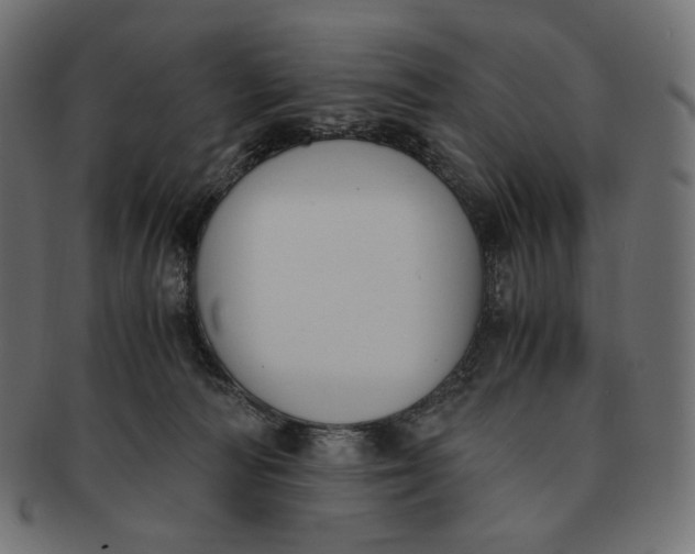 X0000091520226200709071024