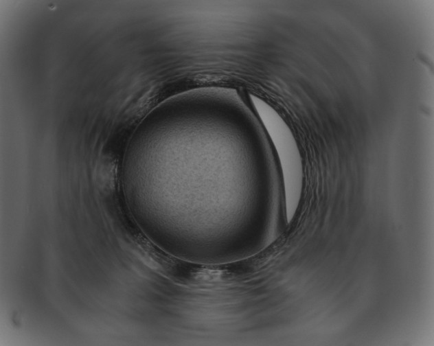 X0000091520227200709071024