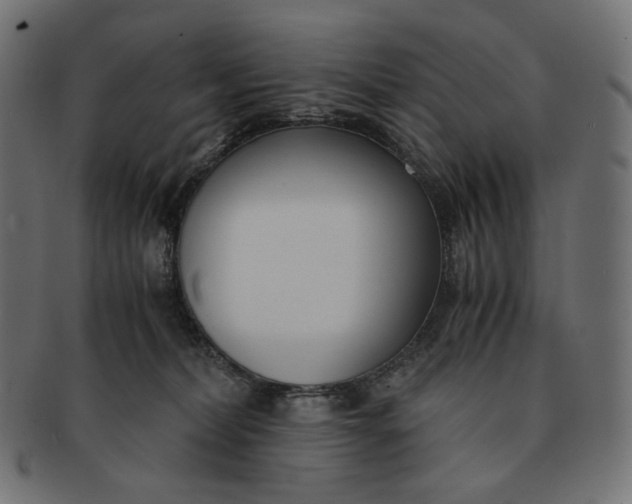 X0000091520228200709071024