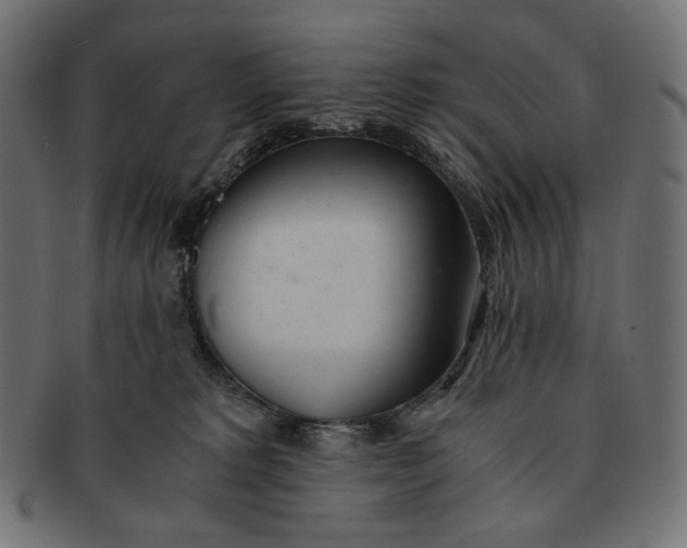 X0000091520229200709071024