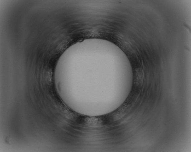 X0000091520230200709071024