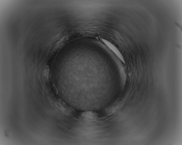 X0000091520231200709071024