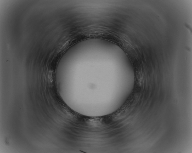 X0000091520232200709071024