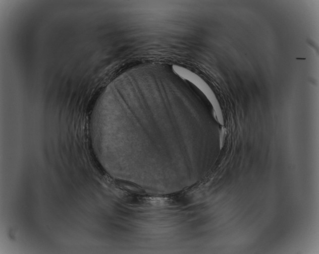 X0000091520233200709071024