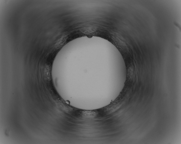 X0000091520234200709071024