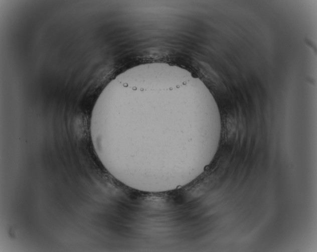 X0000091520236200709071024