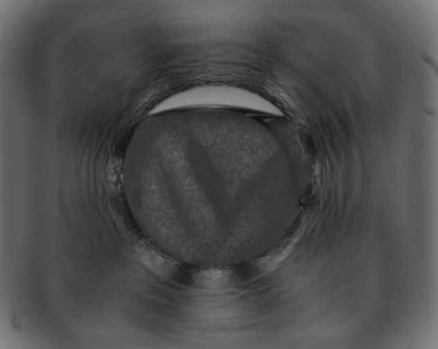 X0000091520237200709071024