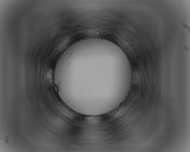 X0000091520238200709071024