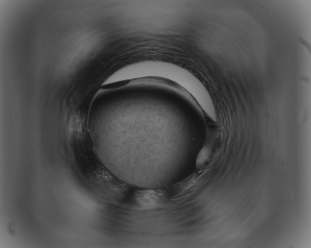 X0000091520239200709071024