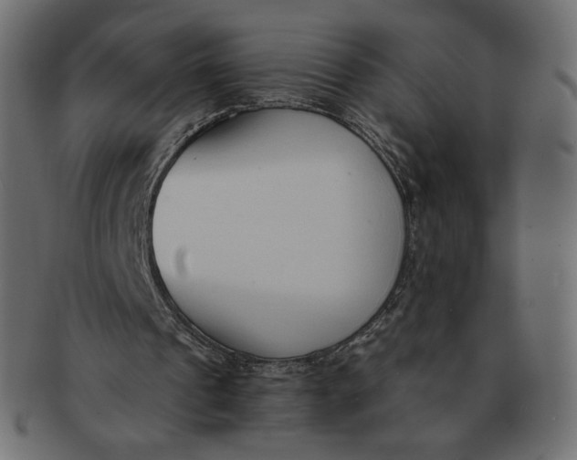 X0000091520241200709071023