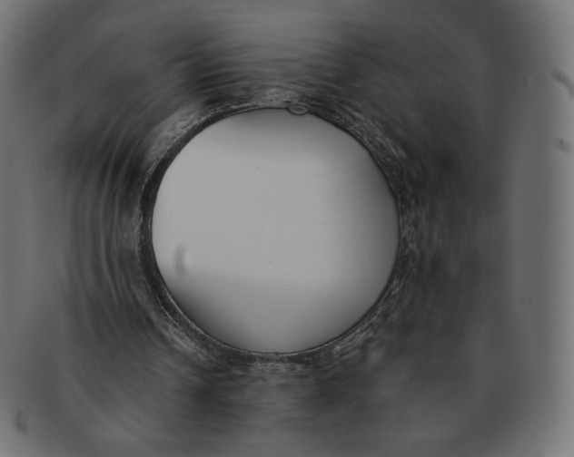 X0000091520242200709071023