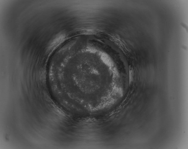 X0000091520243200709071023