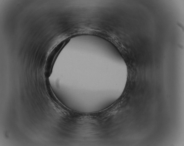 X0000091520244200709071023