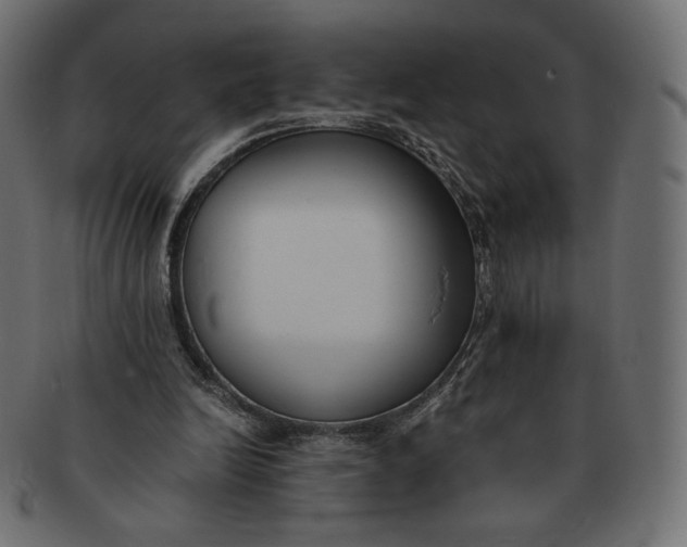 X0000091520246200709071023