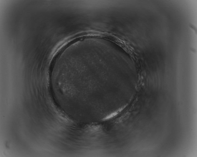 X0000091520247200709071023