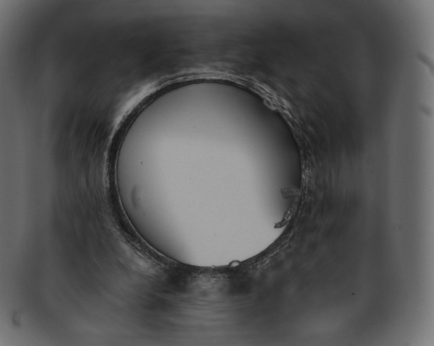 X0000091520248200709071023