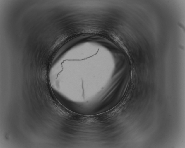 X0000091520249200709071023