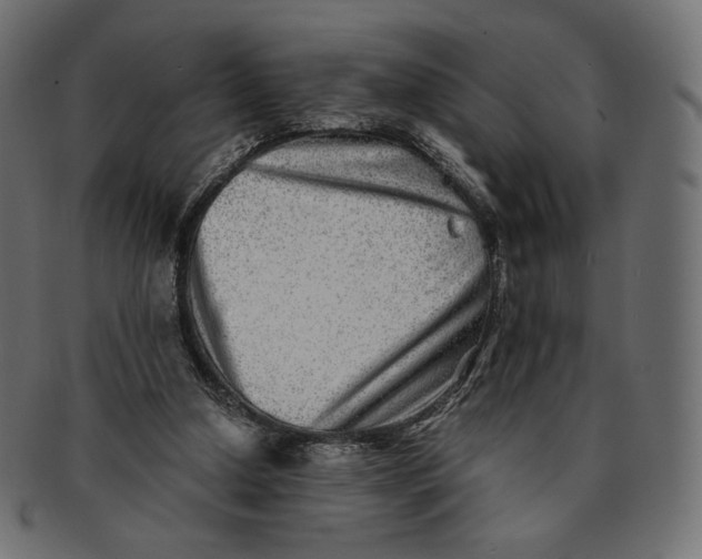 X0000091520250200709071024